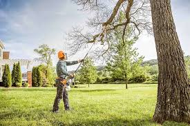 How Our Tree Care Process Works  in  Jessup, PA